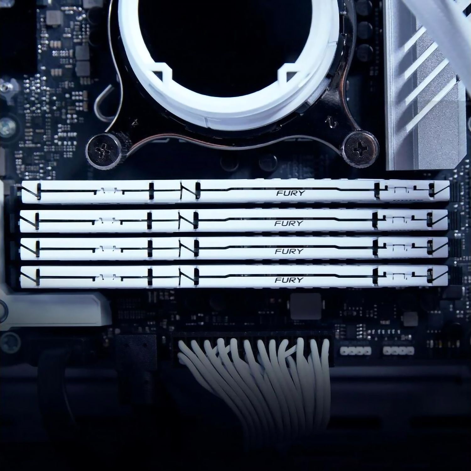 Память оперативная Kingston FURY Beast KF556C40BW-32