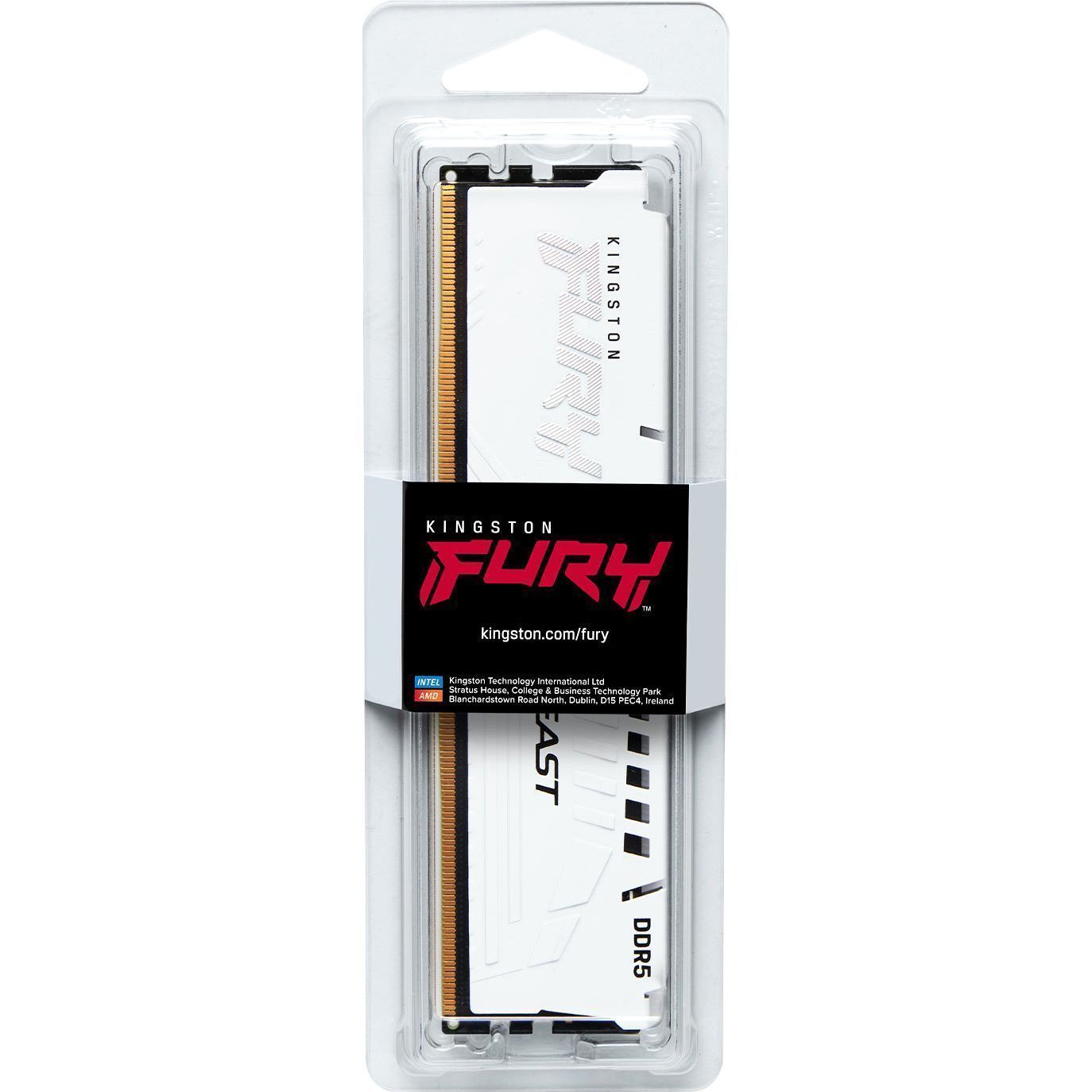 Память оперативная Kingston FURY Beast KF560C36BWE-32